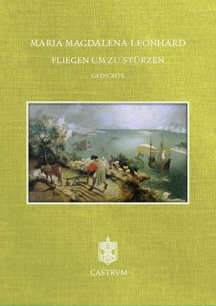 Cover von Fliegen um zu stürzen