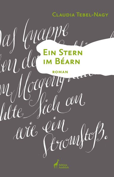 Cover von Ein Stern im Béarn