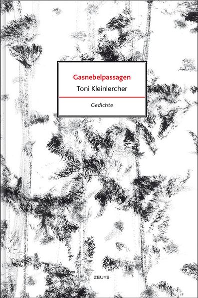 Cover von Gasnebelpassagen