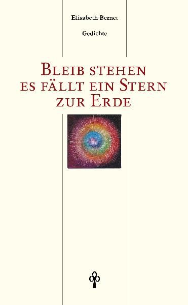Cover von Bleib stehen es fält ein Stern zur Erde