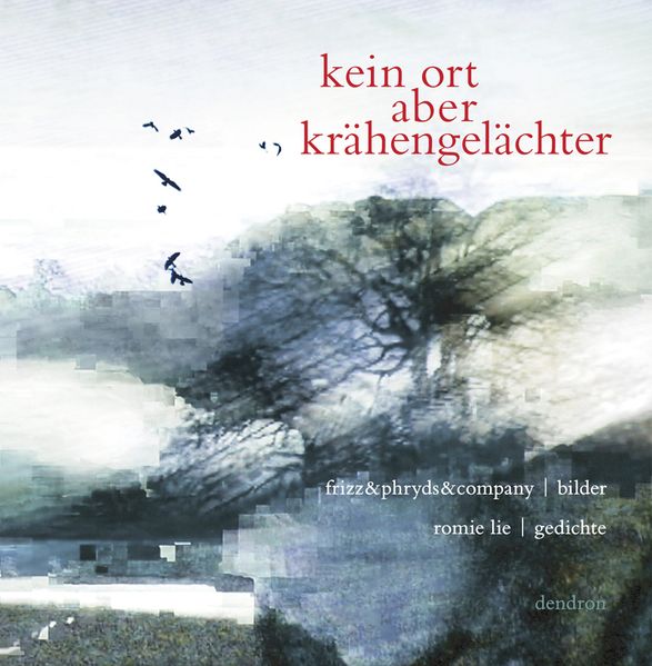 Cover von kein ort aber krähengelächter