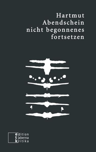Cover von nicht begonnenes fortsetzen