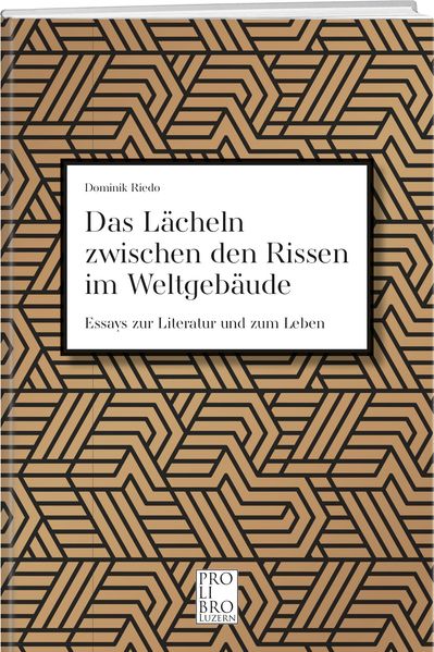 Cover von Das Lächeln zwischen den Rissen im Weltgebäude