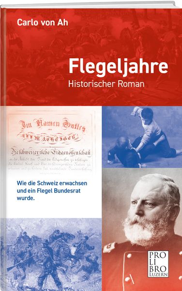 Cover von Flegeljahre