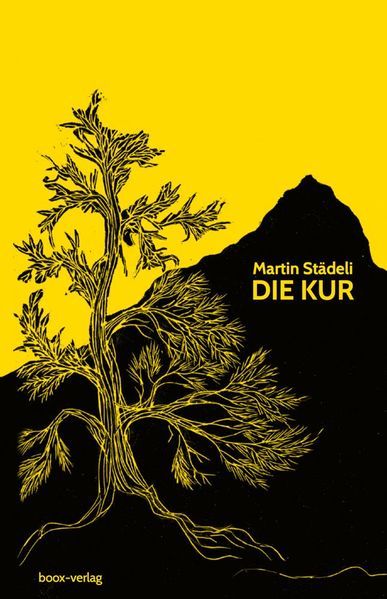 Cover von Die Kur