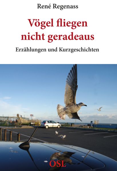 Cover von Vögel fliegen nicht geradeaus