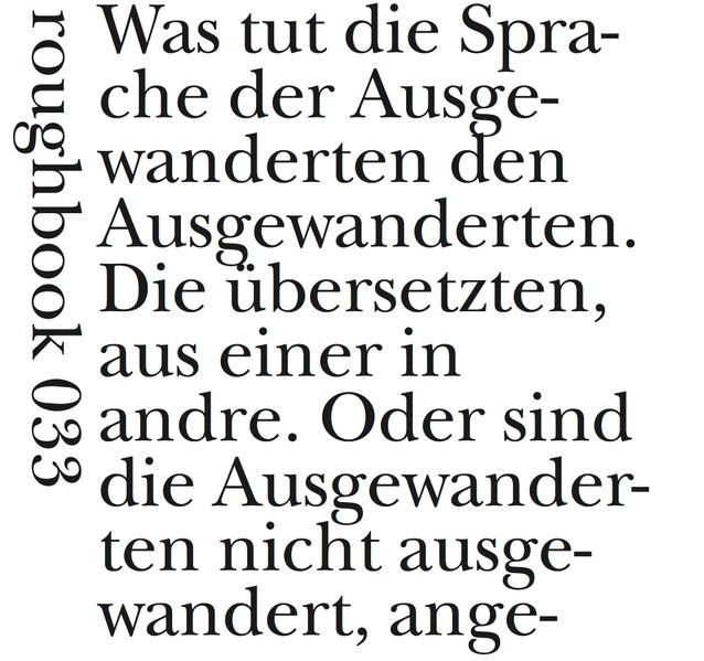 Cover von Hölderlin-Hybride