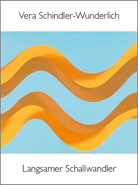 Cover von Langsamer Schallwandler