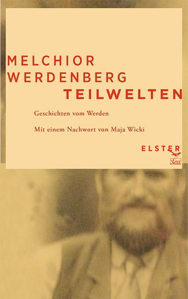 Cover von Teilwelten
