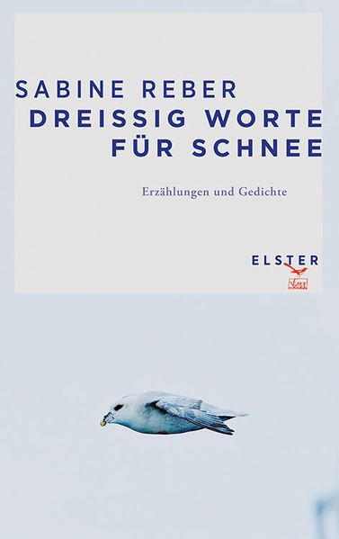 Cover von Dreißig Worte für Schnee