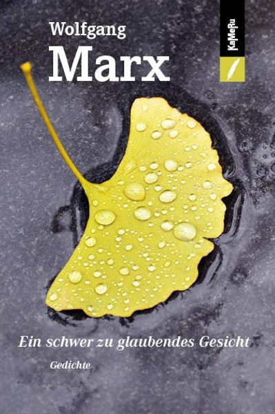 Cover von Ein schwer zu glaubendes Gesicht