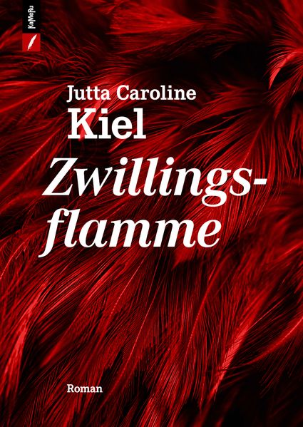 Cover von Zwillingsflamme
