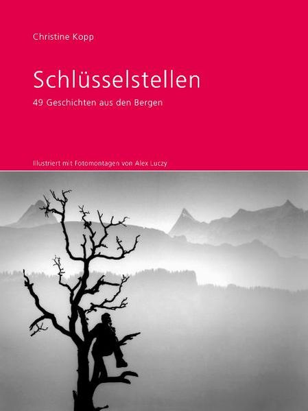 Cover von Schlüsselstellen