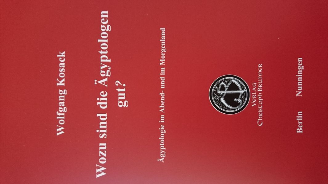 Cover von Wozu sind die Ägyptologen gut?