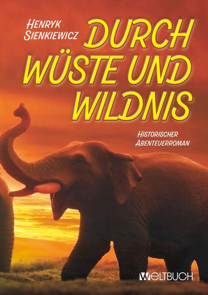 Cover von DURCH WÜSTE UND WILDNIS