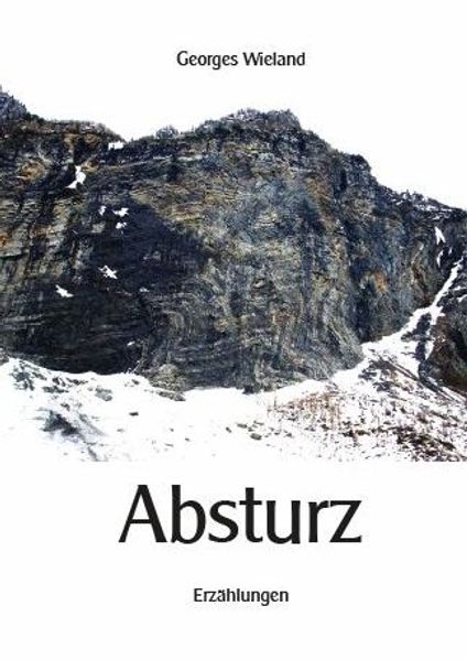 Cover von Absturz