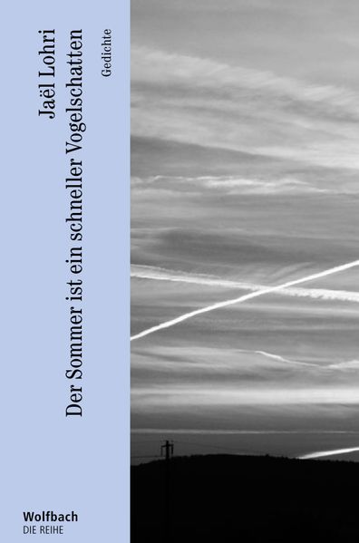 Cover von Der Sommer ist ein schneller Vogelschatten