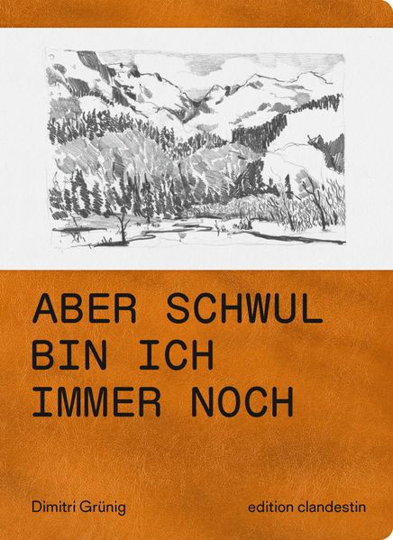 Cover von Aber schwul bin ich immer noch