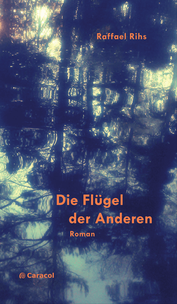 Cover von Die Flügel der Anderen