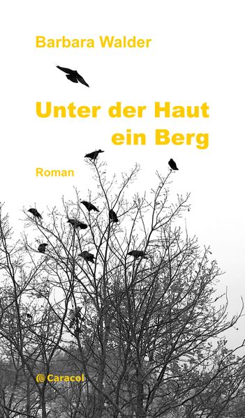 Cover von Unter der Haut ein Berg