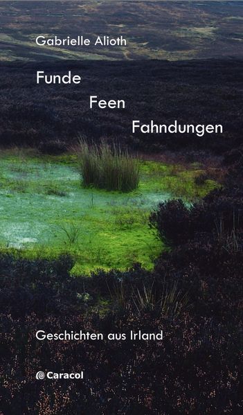 Cover von Funde, Feen, Fahndungen
