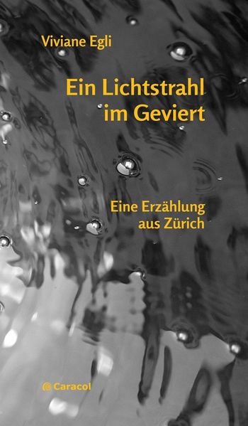 Cover von Ein Lichtstrahl im Geviert
