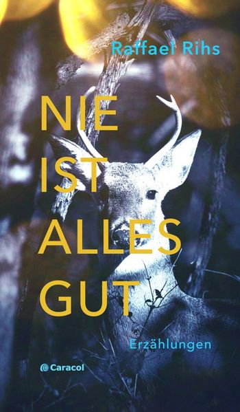 Cover von Nie ist alles gut
