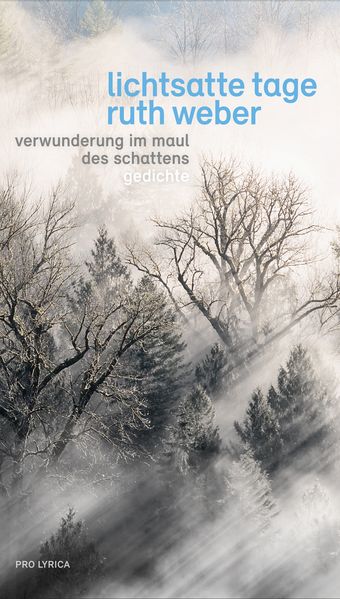Cover von Lichtsatte Tage – Verwunderung im Maul des Schattens