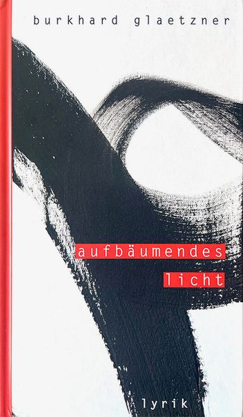 Cover von aufbäumendes licht