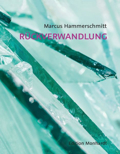 Cover von Rückverwandlung