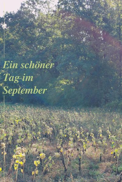 Cover von Ein schöner Tag im September