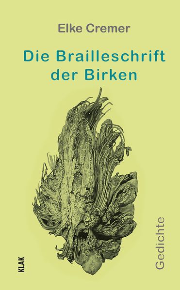 Cover von Die Brailleschrift der Birken
