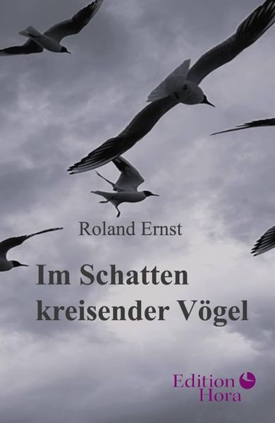 Cover von Im Schatten kreisender Vögel