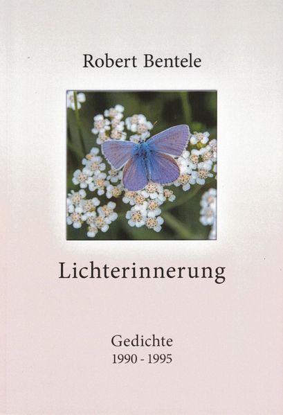 Cover von Lichterinnerung