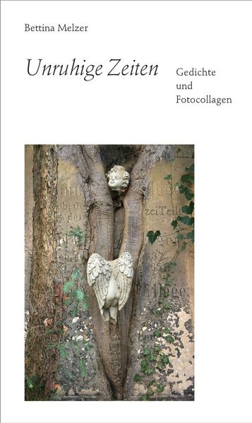 Cover von Unruhige Zeiten