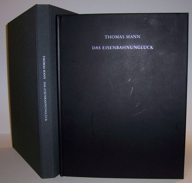 Cover von Das Eisenbahnunglück