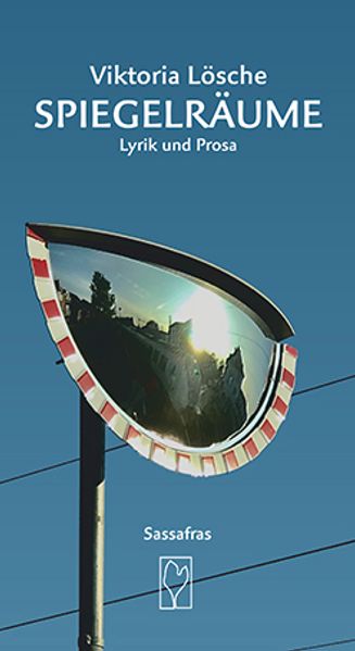 Cover von Spiegelräume