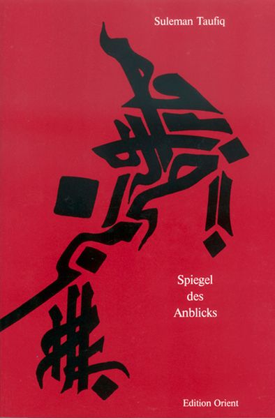 Cover von Spiegel des Anblicks
