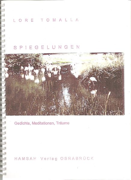 Cover von Spiegelungen