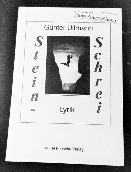 Cover von Steinschrei