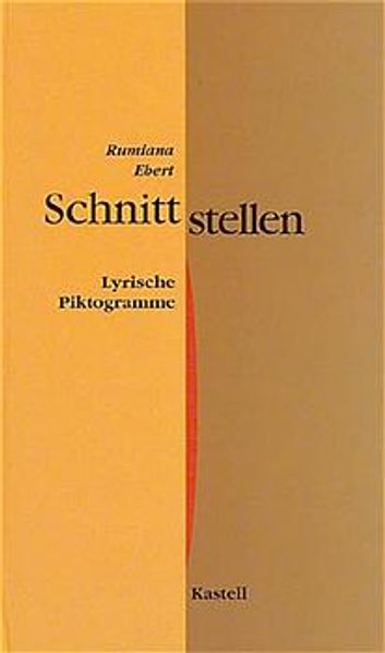 Cover von Schnittstellen