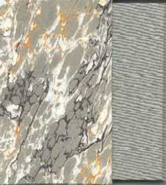 Cover von Der Reiseführer /The Guide