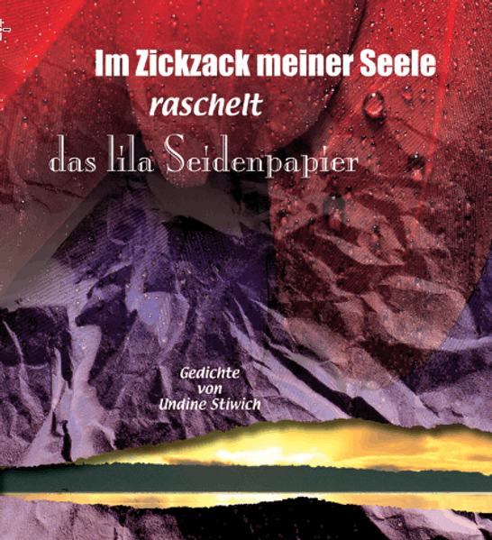 Cover von Im Zickzack meiner Seele raschelt das lila Seidenpapier