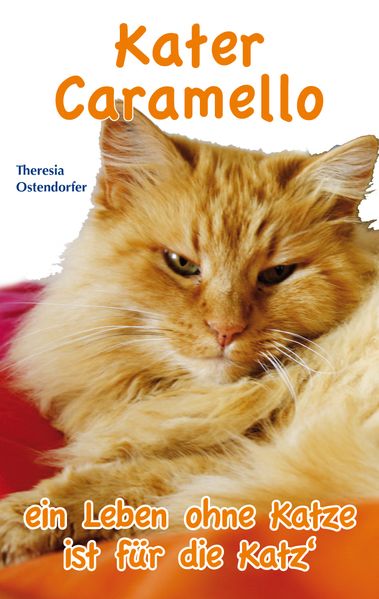 Cover von Kater Caramello
