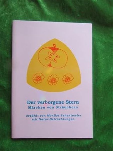 Cover von Der verborgene Stern