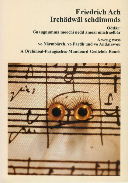 Cover von Irchädwäi schdimmds. Oddär: Gnaugnumma moochi nedd amoal miich selbär.