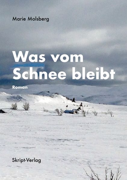Cover von Was vom Schnee bleibt