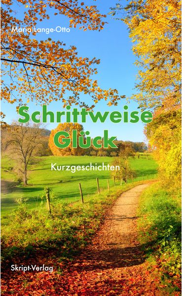 Cover von Schrittweise Glück