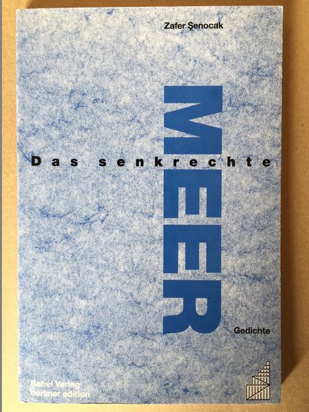 Cover von Das senkrechte Meer