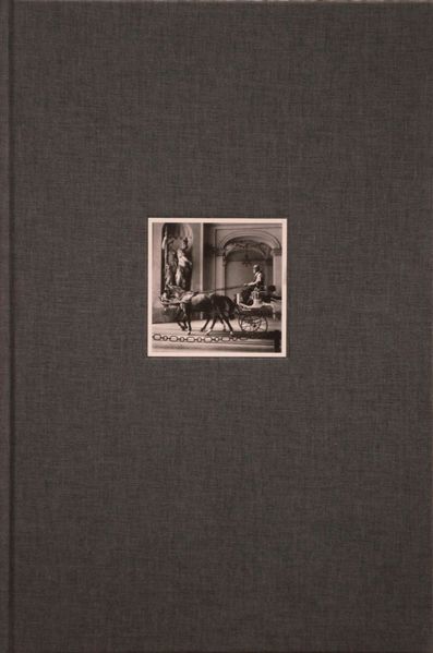 Cover von Wiener Leben